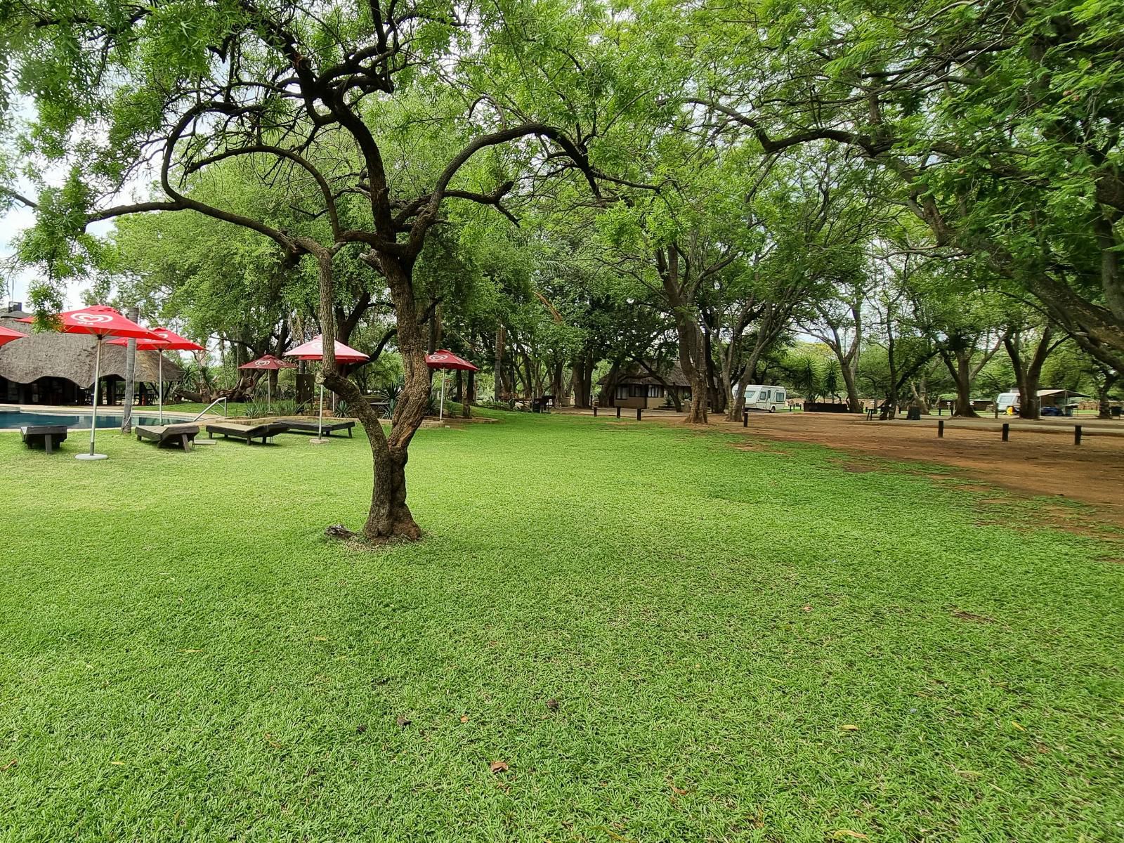 Mabalingwe Caravan Park, Plant, Nature