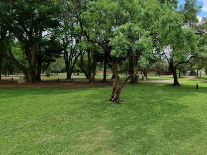 Mabalingwe Caravan Park, Group 2 Camp Sites, Plant, Nature, Tree, Wood, Garden