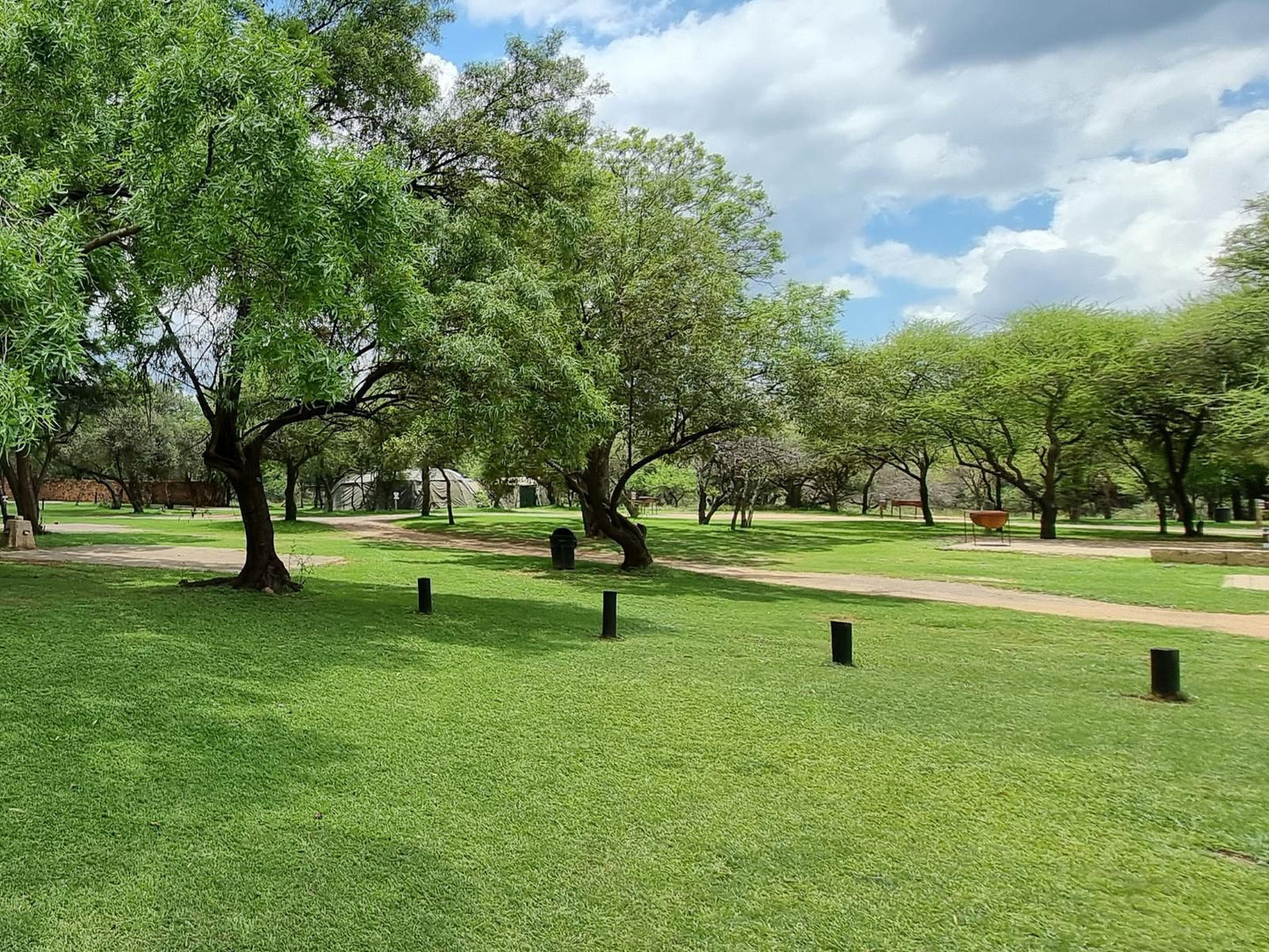 Mabalingwe Caravan Park, Group 4 Camp Sites, Plant, Nature