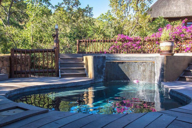 Mabalingwe Dream Of Nature Lodge Bela Bela Warmbaths Limpopo Province South Africa Complementary Colors, Garden, Nature, Plant, Swimming Pool