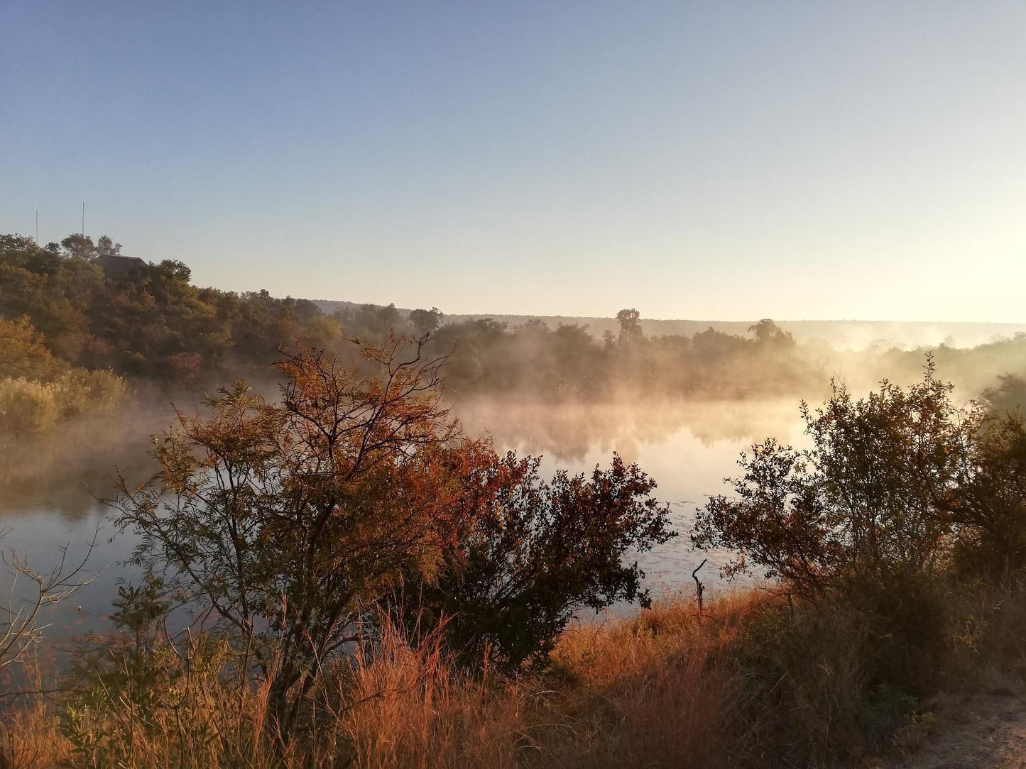 Mabalingwe Game Reserve, Fog, Nature