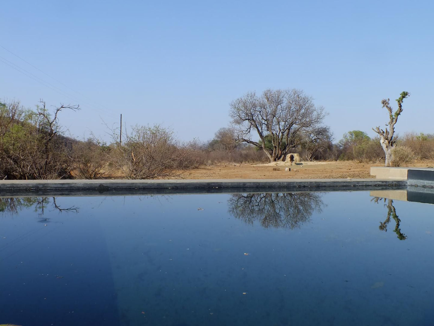 Mabalingwe Game Reserve, Elephant Lodge 266