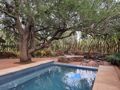 Mabalingwe Game Reserve, Rooiboklaagte, Plant, Nature, Garden, Swimming Pool