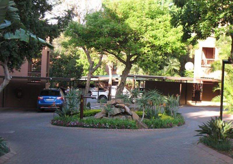 Mabella Lodge Fourways Johannesburg Gauteng South Africa Palm Tree, Plant, Nature, Wood, Garden