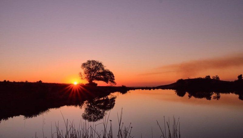 Macabelel Lodge Dullstroom Mpumalanga South Africa Sky, Nature, Sunset