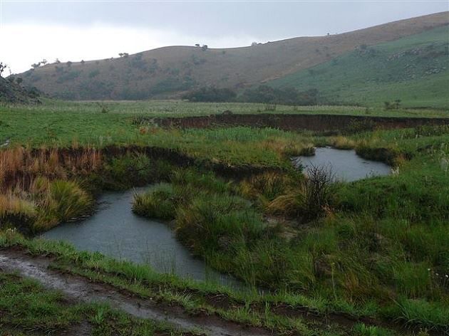 Macabelel Lodge Dullstroom Mpumalanga South Africa Field, Nature, Agriculture, Meadow, River, Waters, Highland