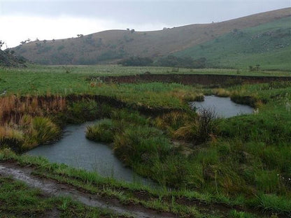 Macabelel Lodge Dullstroom Mpumalanga South Africa Field, Nature, Agriculture, Meadow, River, Waters, Highland