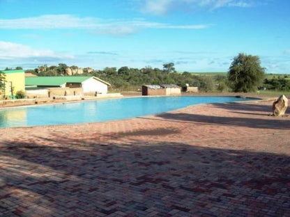 Machai Lodge Hazyview Mpumalanga South Africa Complementary Colors, Palm Tree, Plant, Nature, Wood, Swimming Pool