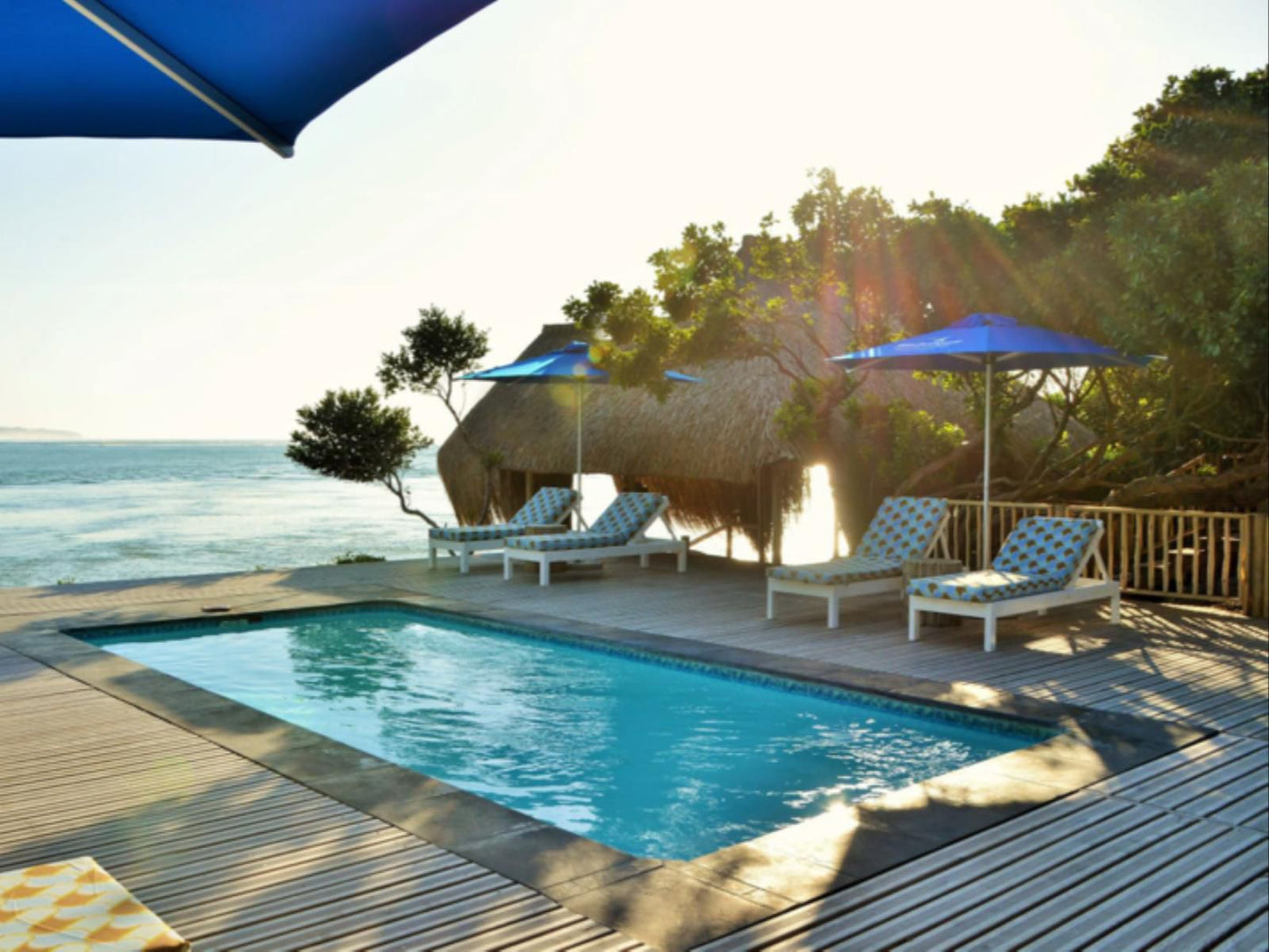 Machangulo Beach Lodge, Beach, Nature, Sand, Palm Tree, Plant, Wood, Swimming Pool