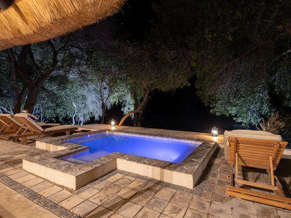 Machaton Private Camp Timbavati Reserve Mpumalanga South Africa Garden, Nature, Plant, Swimming Pool