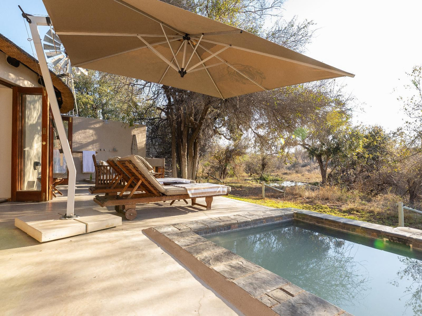 Machaton Private Camp Timbavati Reserve Mpumalanga South Africa Swimming Pool