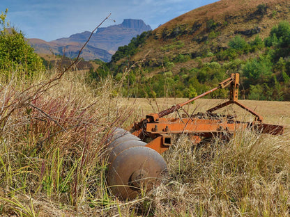 Mackaya Bella Lodge Cathkin Park Kwazulu Natal South Africa Tractor, Vehicle, Agriculture