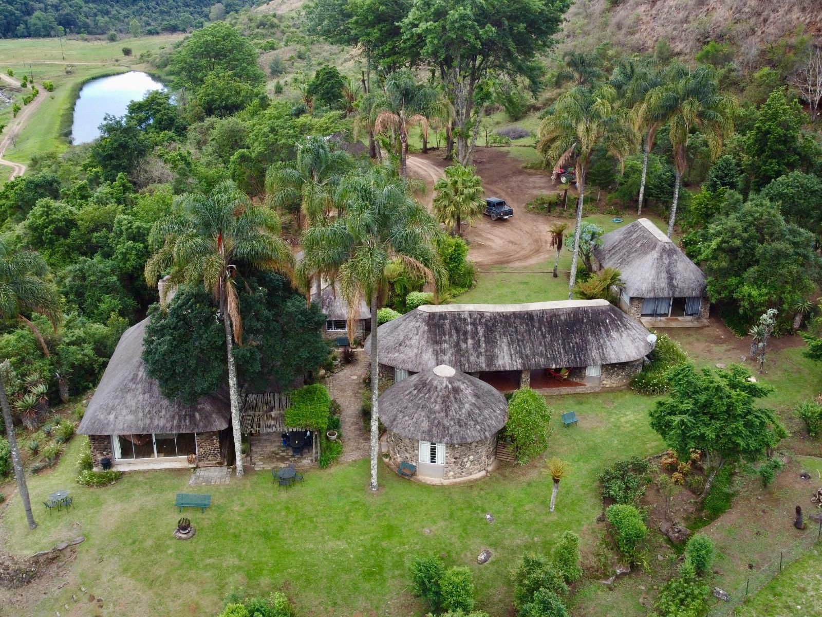 Mackaya Bella Lodge Cathkin Park Kwazulu Natal South Africa Island, Nature, Palm Tree, Plant, Wood