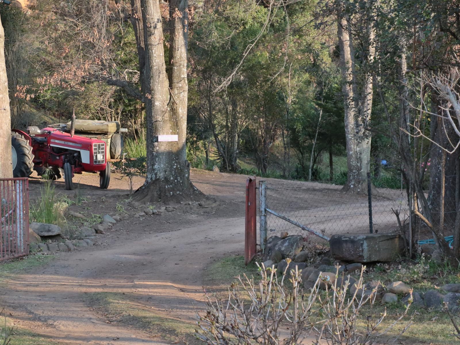 Mackaya Bella Lodge Cathkin Park Kwazulu Natal South Africa Unsaturated, Forest, Nature, Plant, Tree, Wood, Vehicle