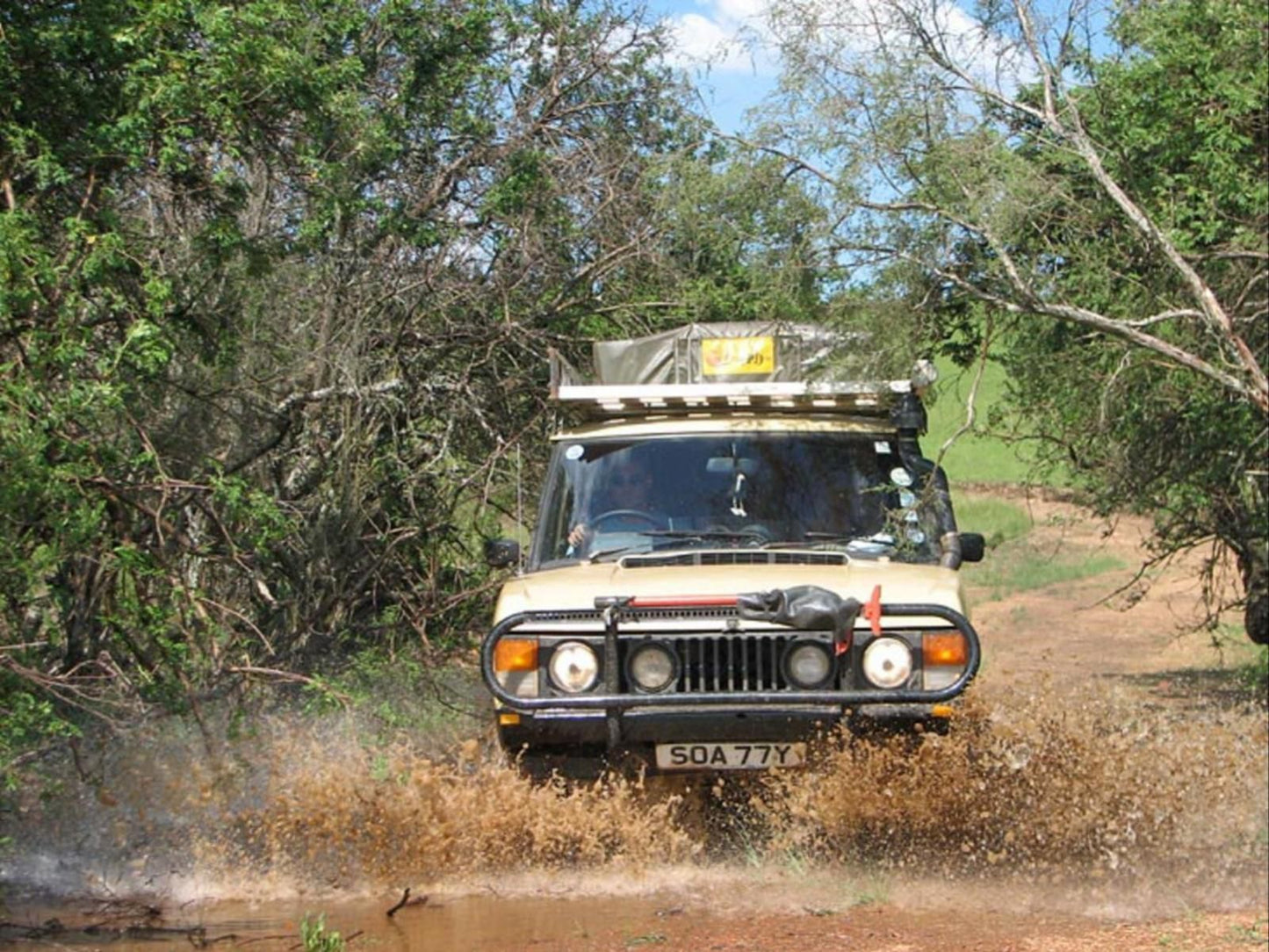 Mac Mac Forest Retreat Graskop Mpumalanga South Africa Car, Vehicle