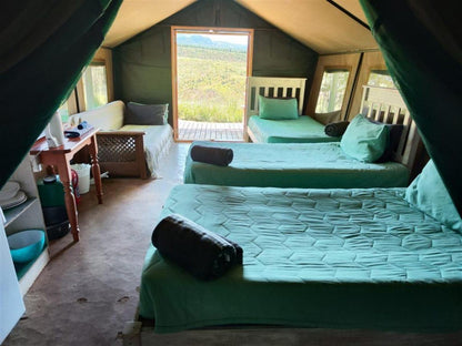 Mac Mac Forest Retreat Graskop Mpumalanga South Africa Tent, Architecture, Bedroom