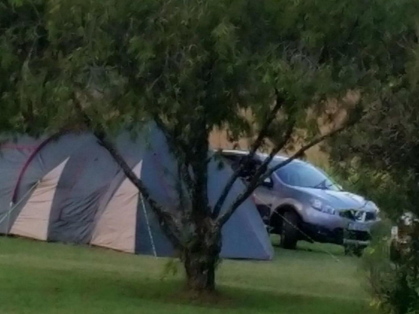 Mac Mac Forest Retreat Graskop Mpumalanga South Africa Tent, Architecture, Car, Vehicle