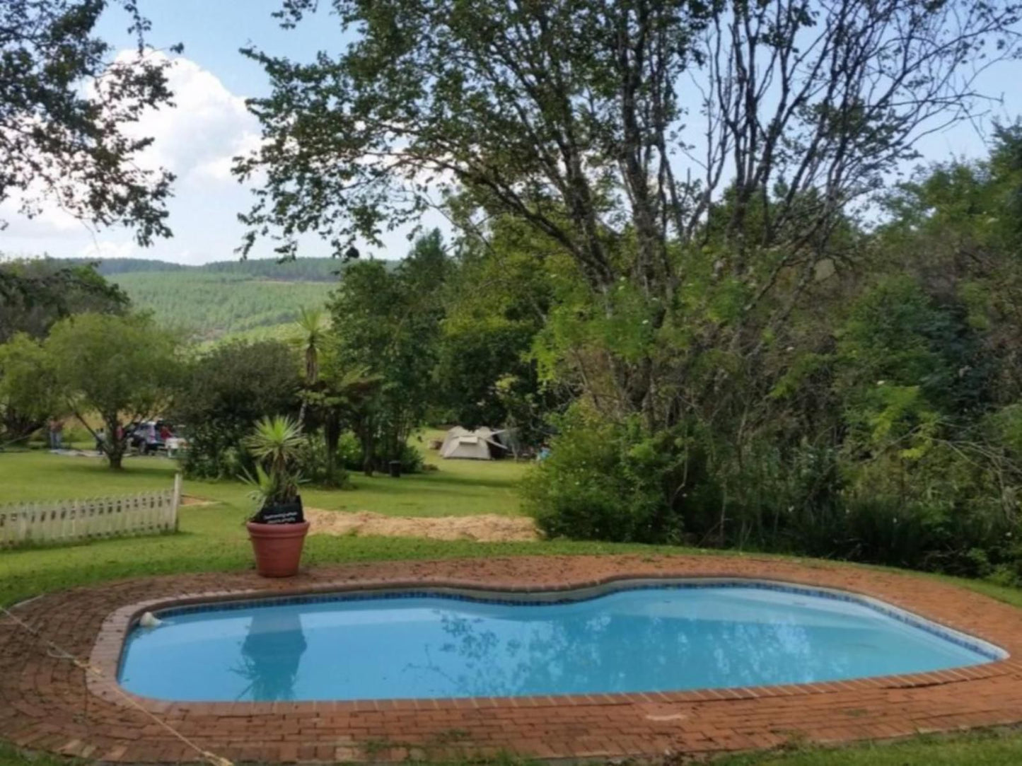 Mac Mac Forest Retreat Graskop Mpumalanga South Africa Swimming Pool