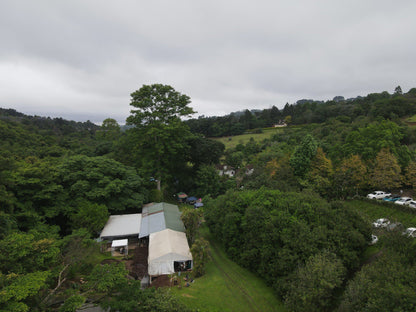 Macnut Farm Wedding And Function Venue Assagay Durban Kwazulu Natal South Africa Tree, Plant, Nature, Wood, Highland