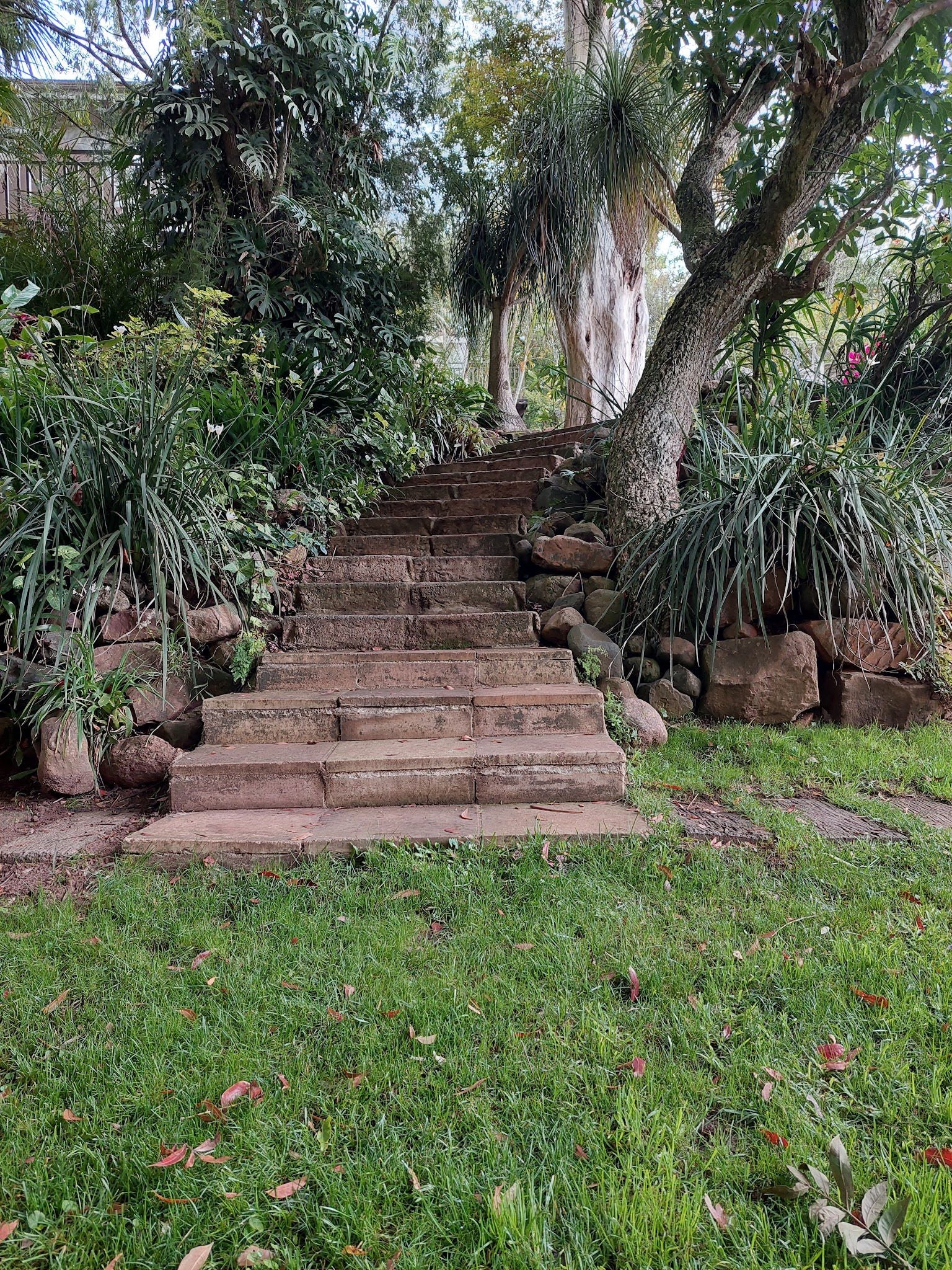 Macnut Farm Wedding And Function Venue Assagay Durban Kwazulu Natal South Africa Palm Tree, Plant, Nature, Wood, Stairs, Architecture, Garden