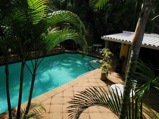 Madeline Grove Bed And Breakfast Morningside Durban Kwazulu Natal South Africa Palm Tree, Plant, Nature, Wood, Garden, Swimming Pool