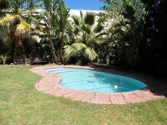 Mad Hatters Bandb Graaff Reinet Eastern Cape South Africa Palm Tree, Plant, Nature, Wood, Garden, Swimming Pool