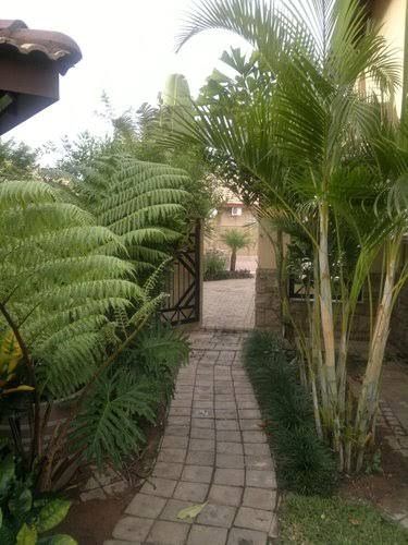 Madidinkwe Guest Villa Lephalale Ellisras Limpopo Province South Africa Palm Tree, Plant, Nature, Wood, Garden
