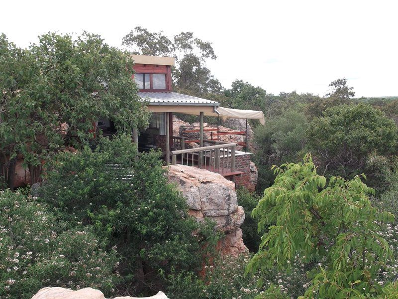 Madikela Game Lodge Vaalwater Limpopo Province South Africa 