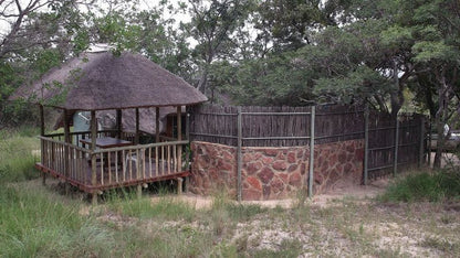 Madikela Game Lodge Vaalwater Limpopo Province South Africa Unsaturated