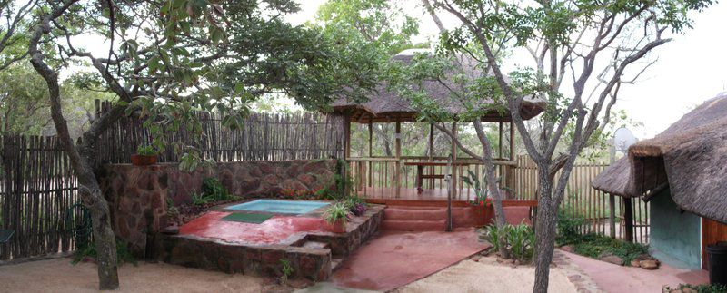 Madikela Game Lodge Vaalwater Limpopo Province South Africa Garden, Nature, Plant