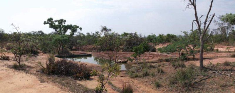 Madikela Game Lodge Vaalwater Limpopo Province South Africa Forest, Nature, Plant, Tree, Wood, River, Waters