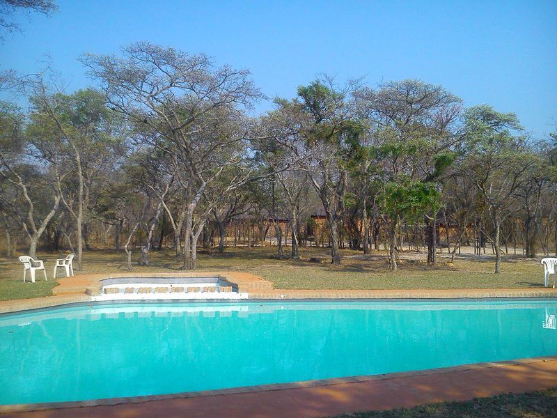 Madikela Game Lodge Vaalwater Limpopo Province South Africa Swimming Pool