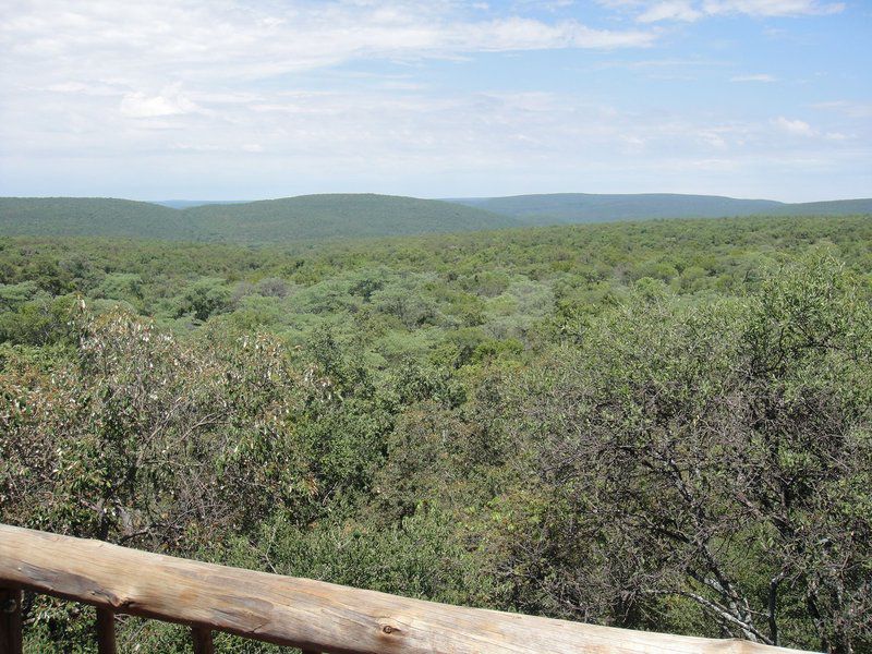 Madikela Game Lodge Vaalwater Limpopo Province South Africa Complementary Colors, Nature