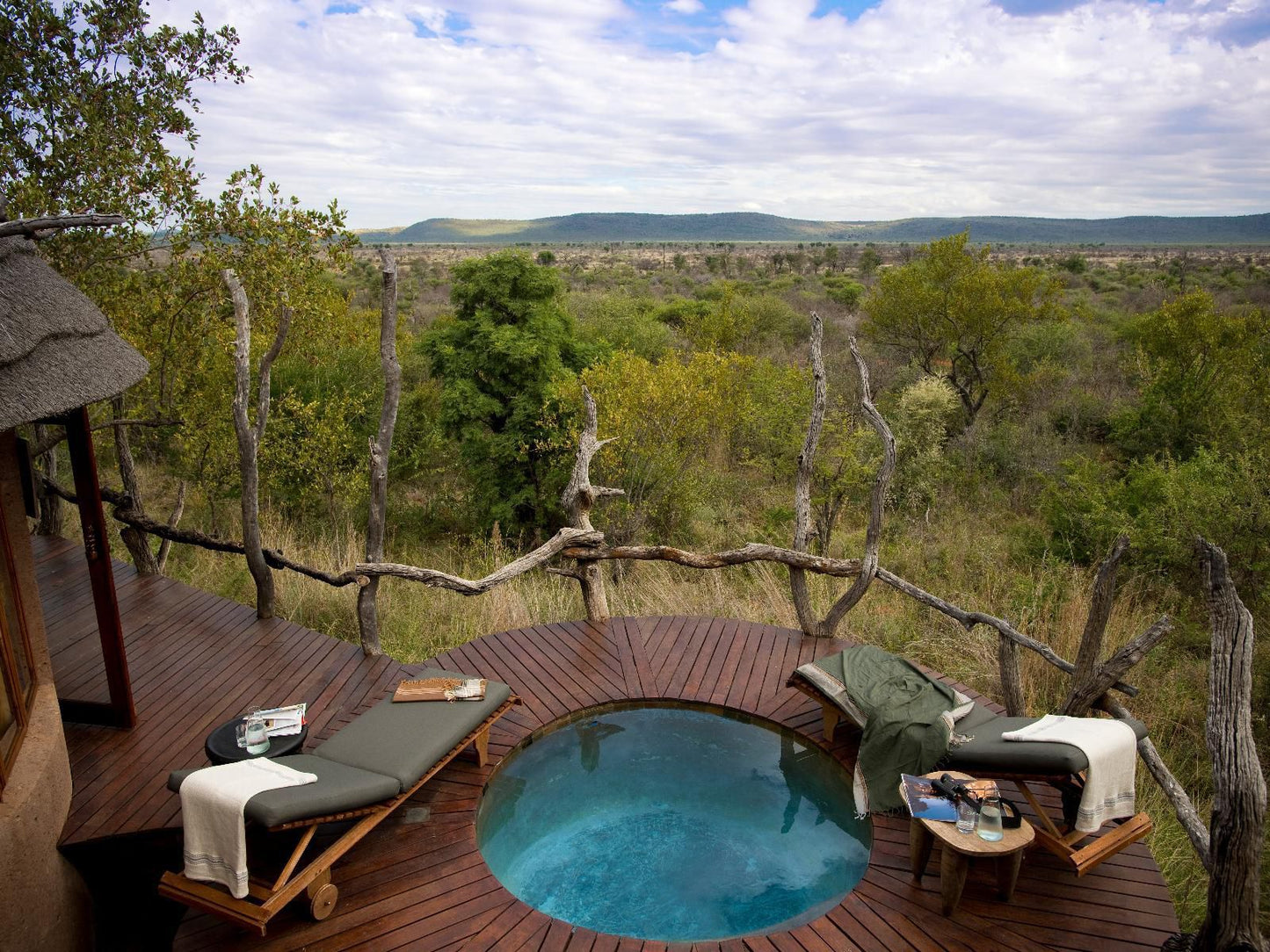 Madikwe Safari Lodge Madikwe Game Reserve North West Province South Africa Cactus, Plant, Nature, Swimming Pool