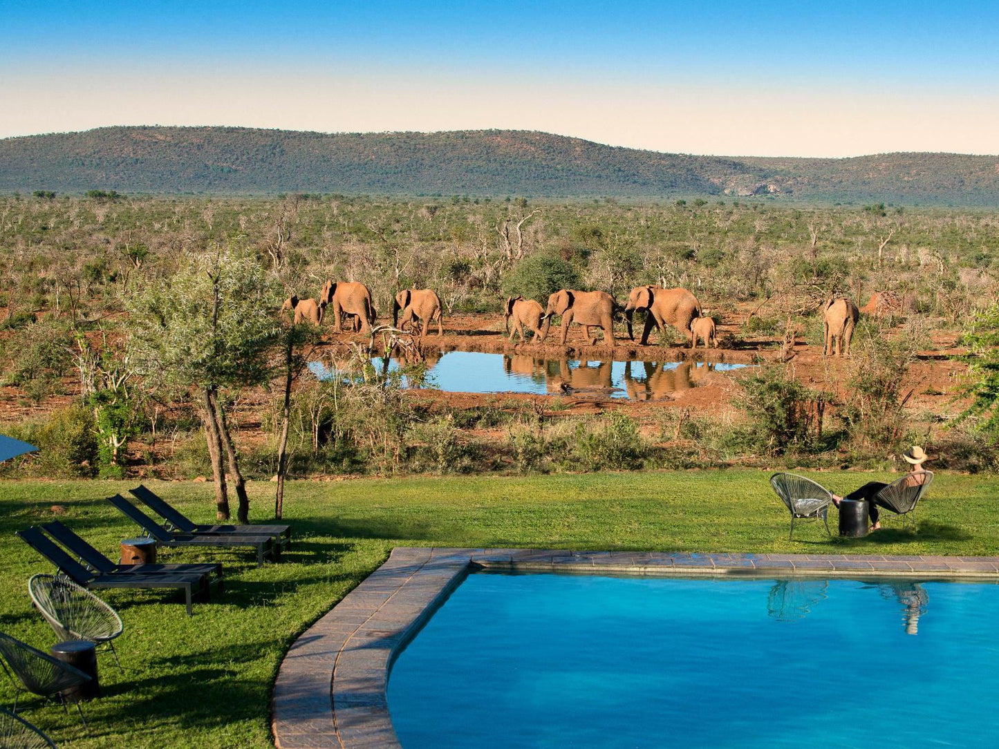 Madikwe Safari Lodge Madikwe Game Reserve North West Province South Africa Complementary Colors, Swimming Pool