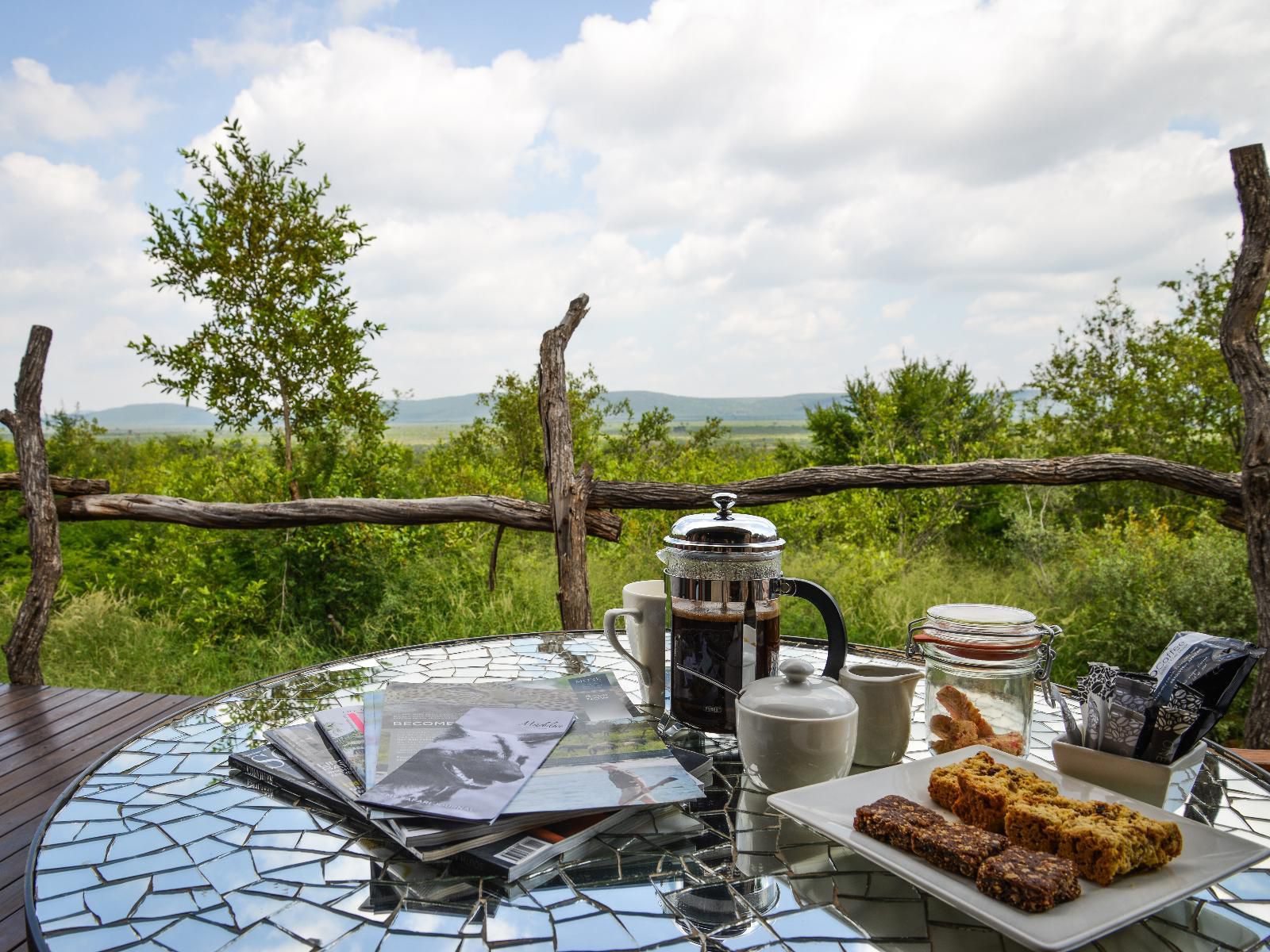 Madikwe Safari Lodge Madikwe Game Reserve North West Province South Africa 