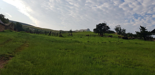 Madrid Farm Cottages Clarens Free State South Africa Field, Nature, Agriculture, Lowland