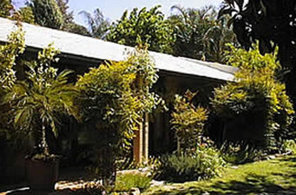 Mafanie Bed And Breakfast Upington Northern Cape South Africa House, Building, Architecture, Palm Tree, Plant, Nature, Wood, Tree, Garden