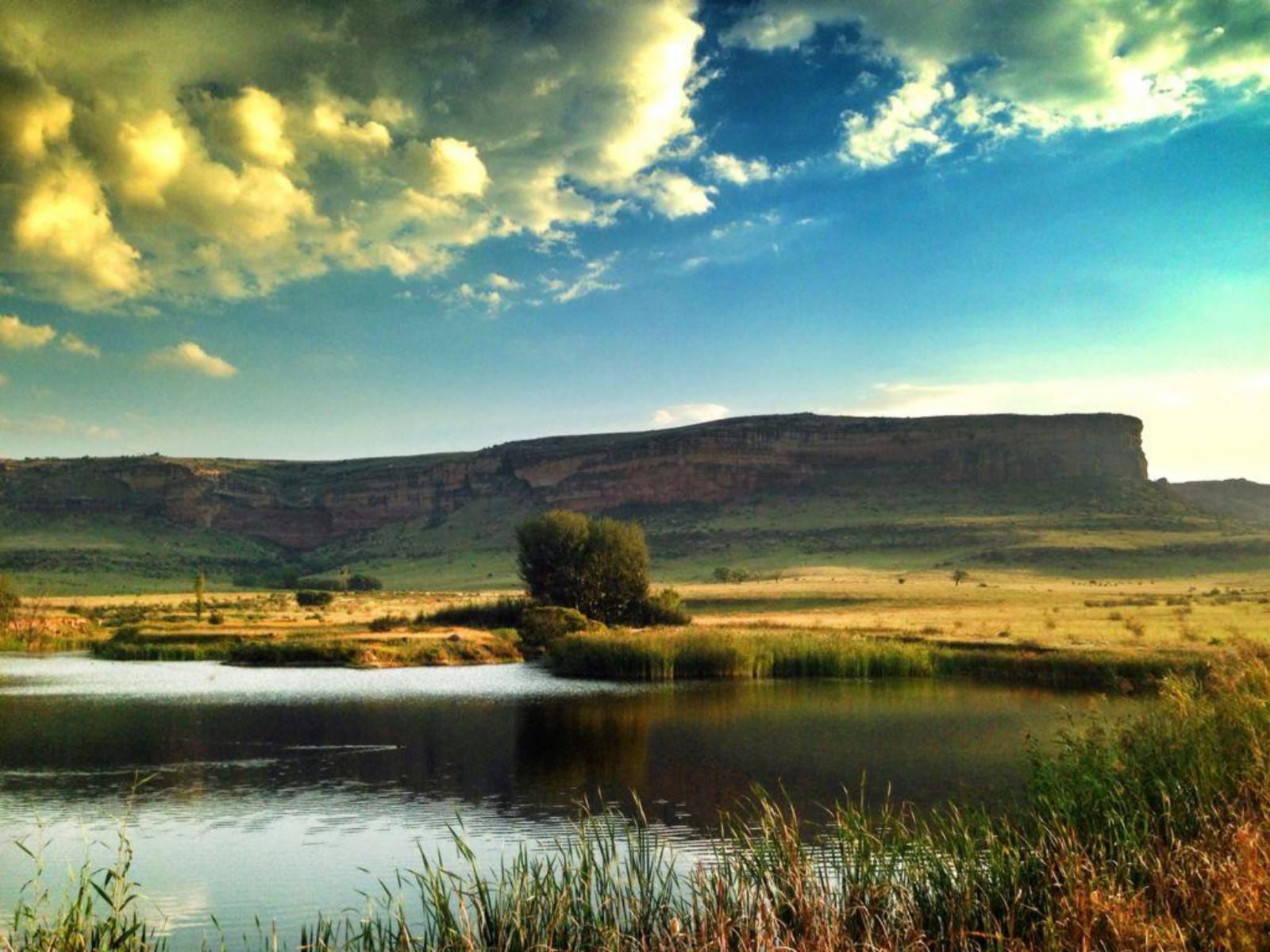 Mafube Mountain Retreat Fouriesburg Free State South Africa Complementary Colors, Lowland, Nature