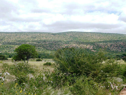 Mafunga Lodge Waterpoort Limpopo Province South Africa Nature