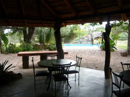 Mafunga Lodge Waterpoort Limpopo Province South Africa Palm Tree, Plant, Nature, Wood, Swimming Pool