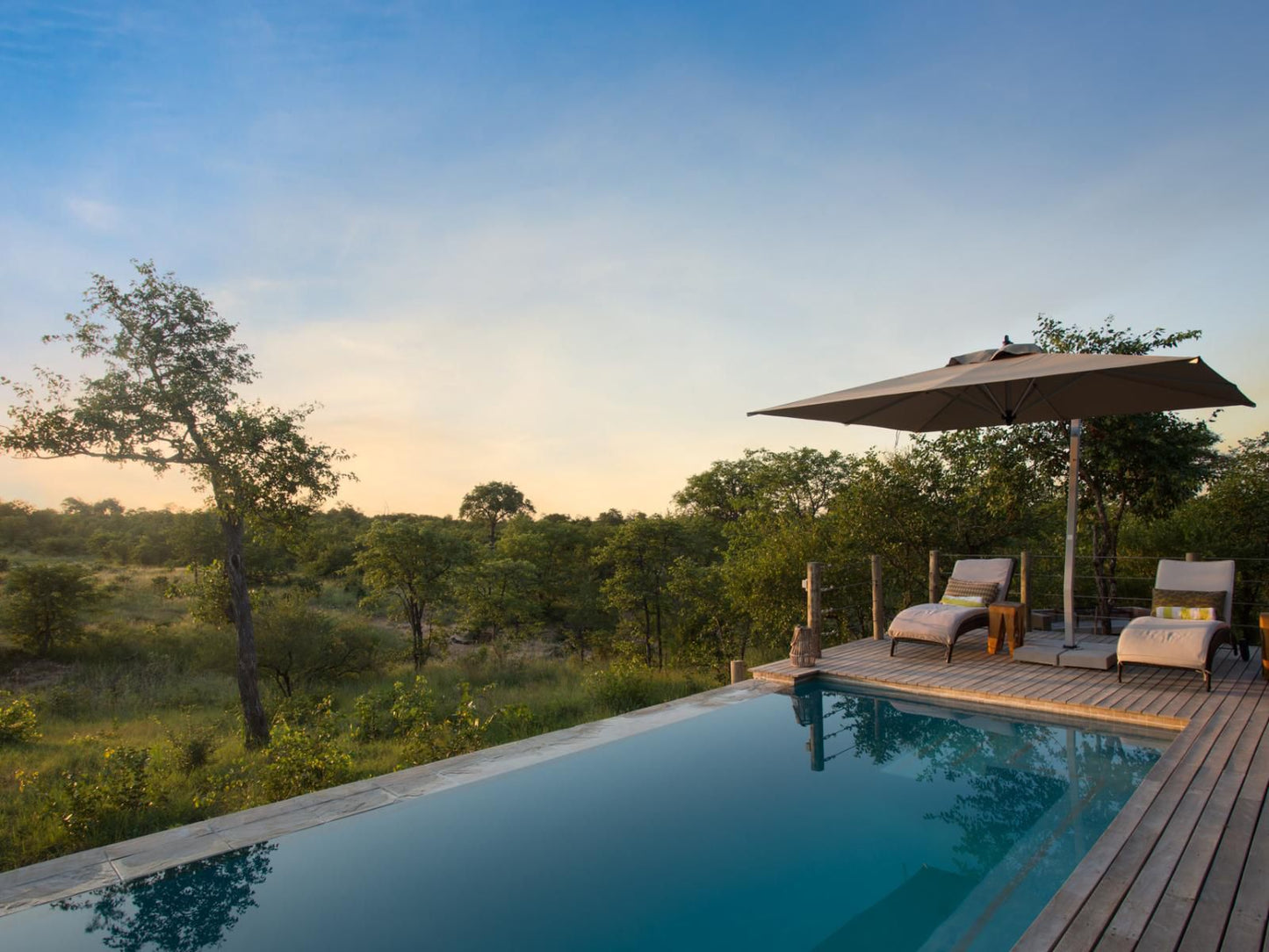 Mafunyane Lodge Klaserie Private Nature Reserve Mpumalanga South Africa Complementary Colors, Swimming Pool