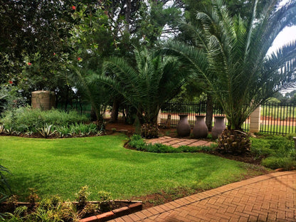 Magalies B&B, Palm Tree, Plant, Nature, Wood, Garden