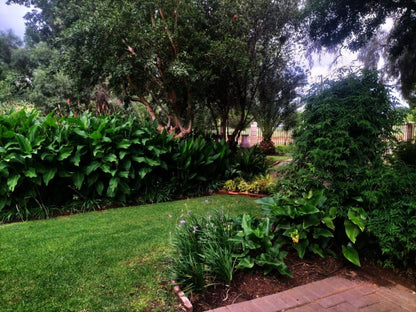 Magalies B&B, Palm Tree, Plant, Nature, Wood, Garden