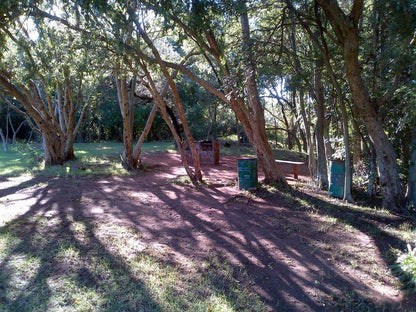 Magalies Sleepy River Caravan Park Hekpoort Krugersdorp North West Province South Africa Plant, Nature, Tree, Wood