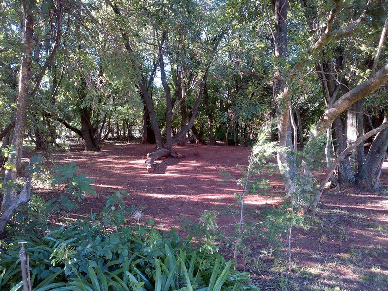Magalies Sleepy River Caravan Park Hekpoort Krugersdorp North West Province South Africa Forest, Nature, Plant, Tree, Wood