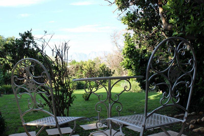 Magnolia House Morningside Ct Somerset West Western Cape South Africa Garden, Nature, Plant