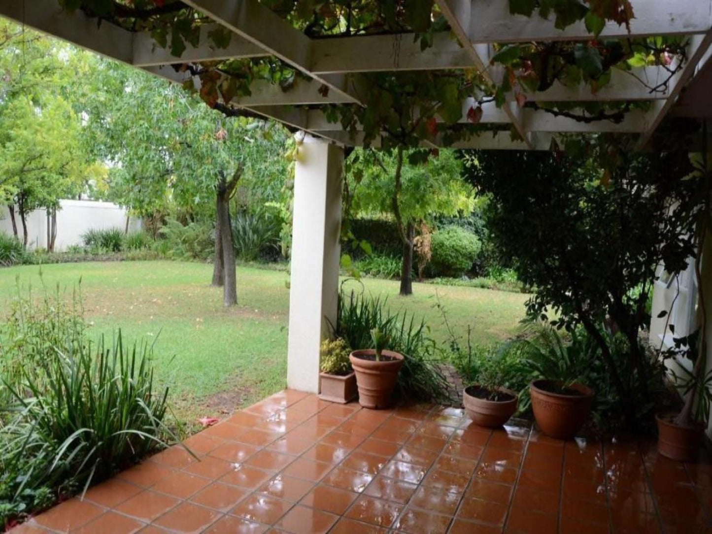 Magnolia Place Stellenbosch Guest House Stellenbosch Western Cape South Africa Palm Tree, Plant, Nature, Wood, Garden, Rain