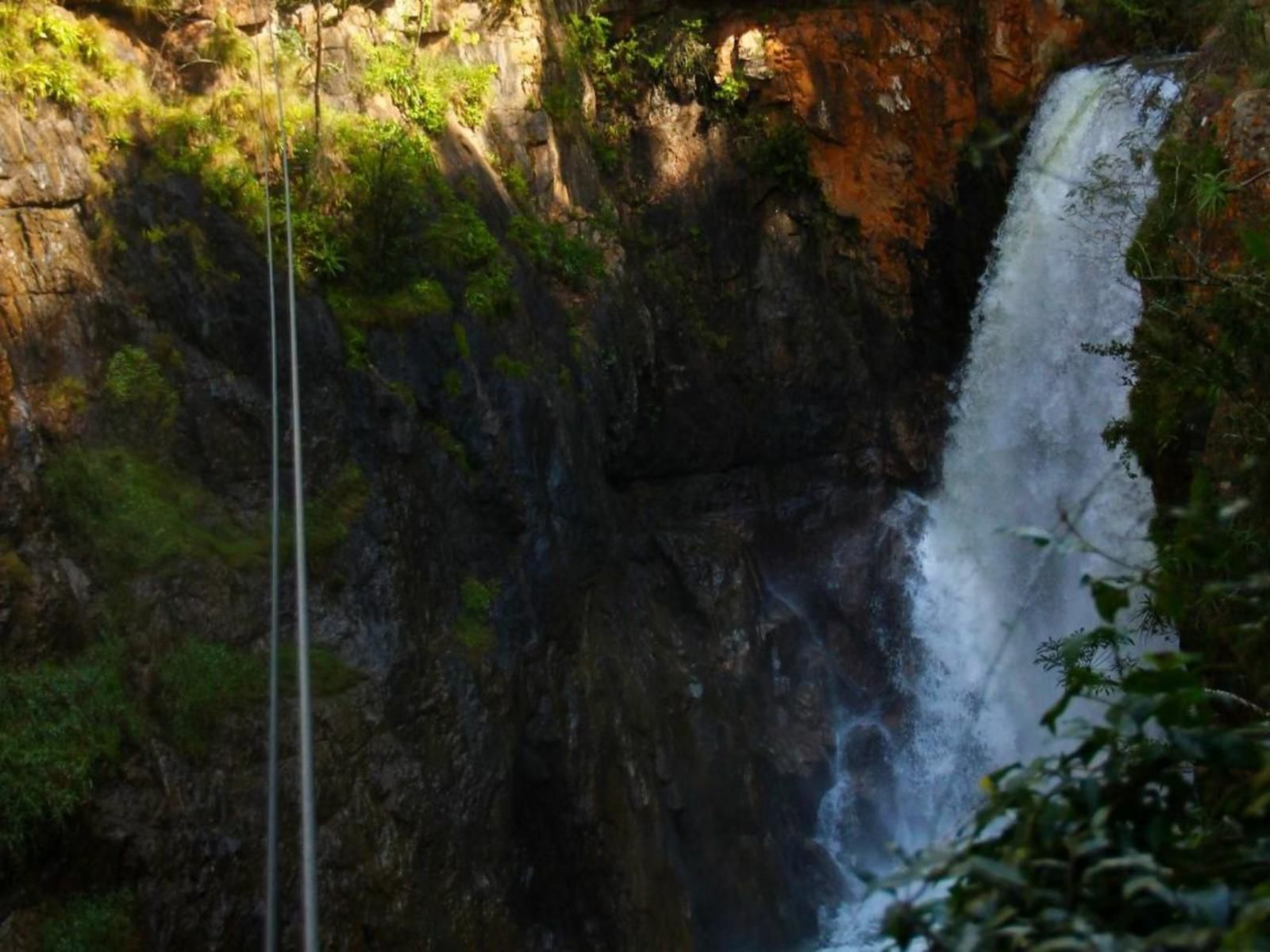 Magoebaskloof Adventures Magoebaskloof Limpopo Province South Africa River, Nature, Waters, Tree, Plant, Wood, Waterfall