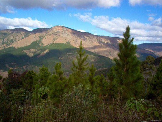 Magoebaskloof Adventures Magoebaskloof Limpopo Province South Africa Complementary Colors, Mountain, Nature, Highland